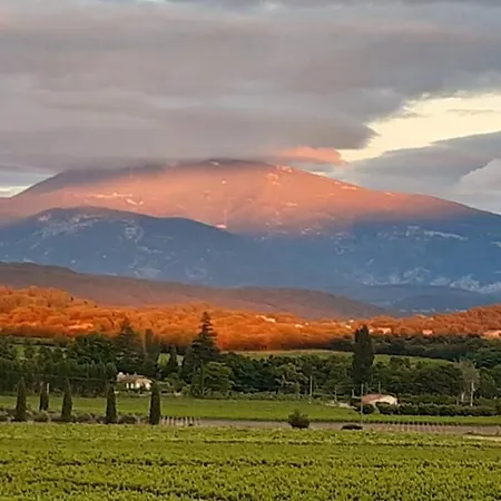 Le Clos Des Pins, Vue Mont Ventoux